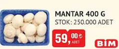 MANTAR 400 G fiyat ve kampanya bilgisi